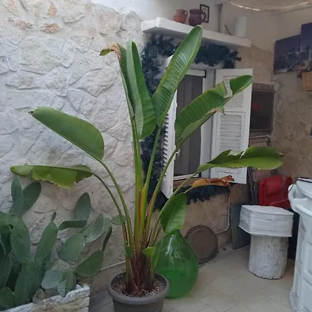 Apartment Magico Individuale House Garden